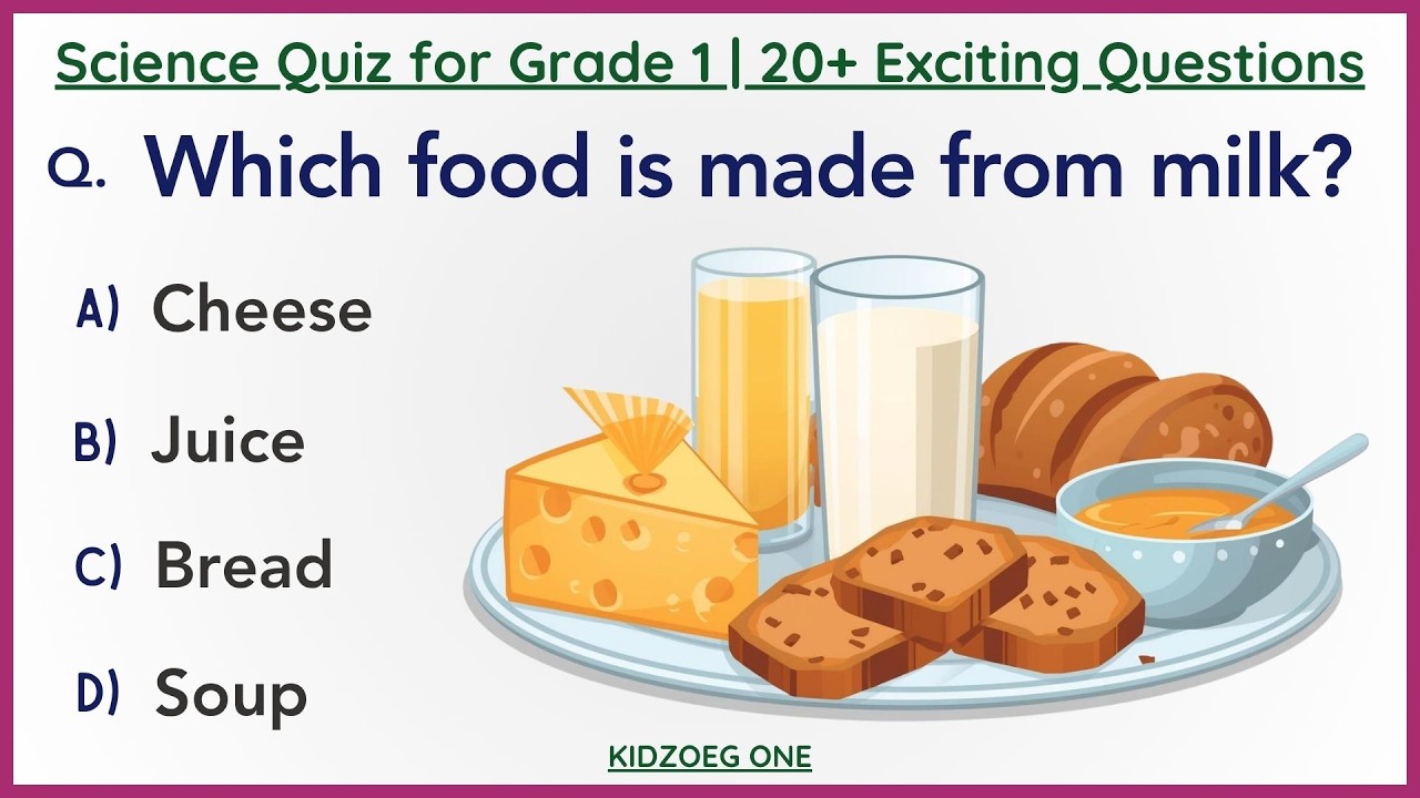 Science Quiz for Grade 1 | 20+ Exciting Questions to Make Learning Science Fun | Kids Science Test