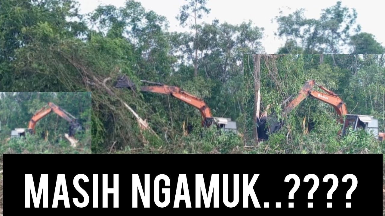 Masih ngamuk..????? hitachi macan cuci hutan ep2.#excavator #hitachiexcavator