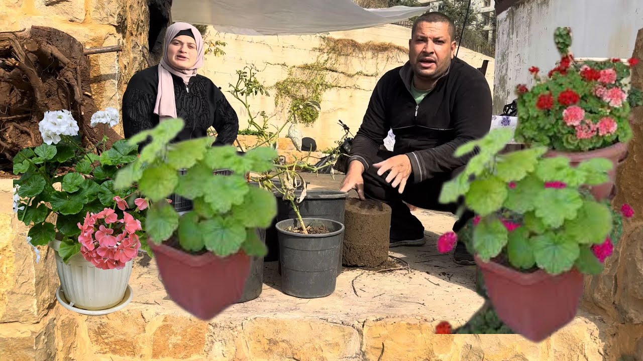 يوم ريفي جميل: زراعة الزهور وخبز الطابون مع بيتزا بيتي ولا أطيب 🌸🍕🔥