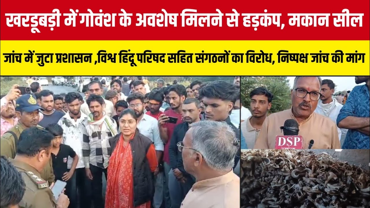झाबुआ के खरडूबड़ी में गोवंश के अवशेष मिलने से हड़कंप, मकान सील – जांच में जुटा प्रशासन!#dspnews 