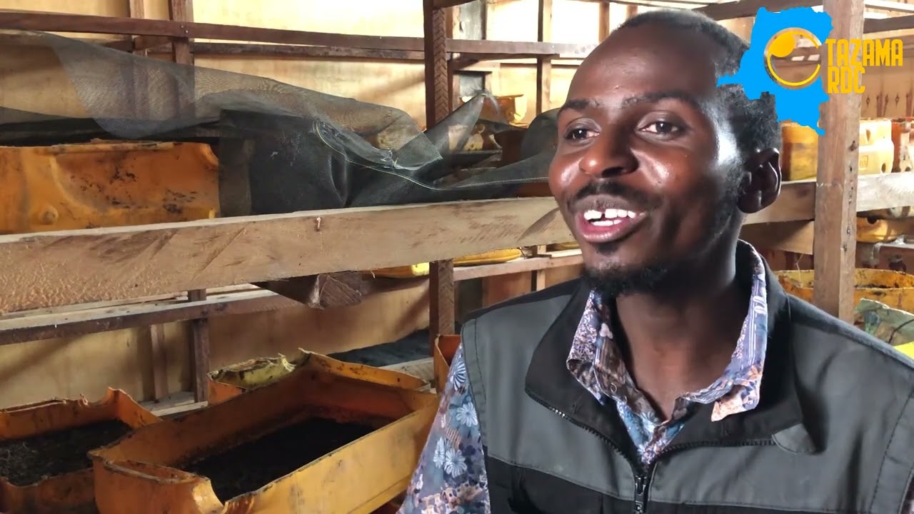 Entrepreneuriat/Goma: L'élevage des mouches pour l'économie et la conservation de l'environnement