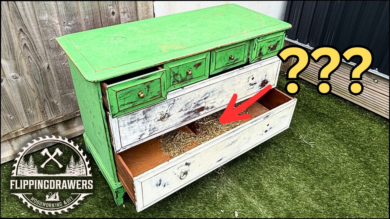 You won't believe what I found inside 🤭