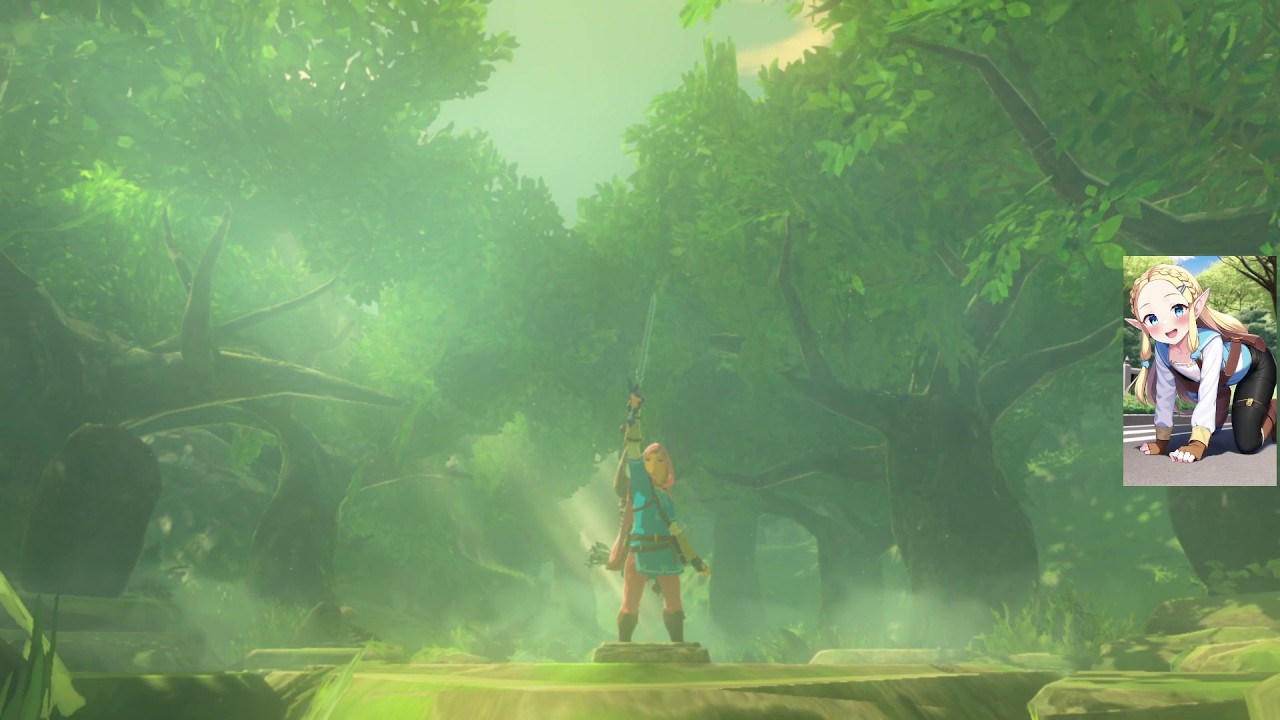 Legend of Zelda: Breath of the Wild #5 - Gerudo Hips
