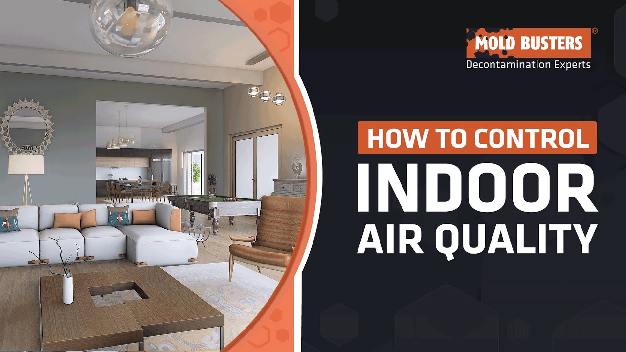 How To Control Indoor Air Quality - Mold Busters
