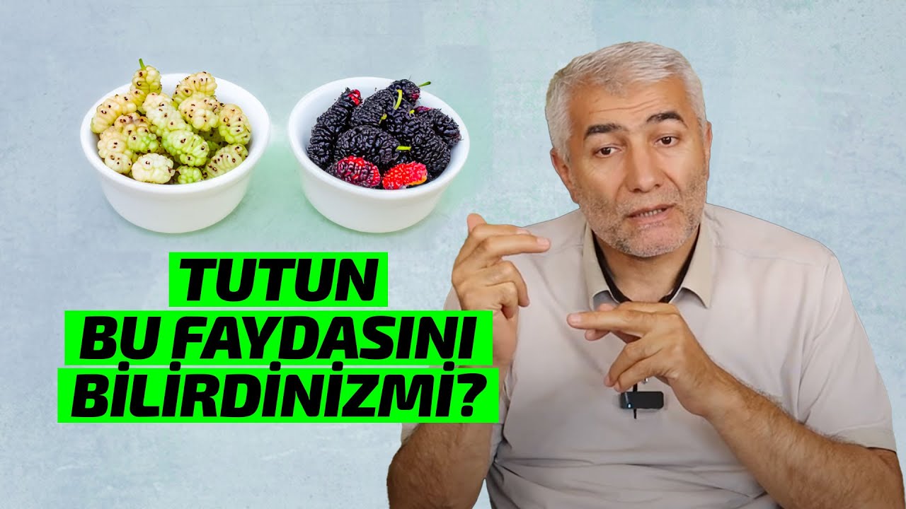 Tutun bu faydasını bilirdinizmi? - Tut meyvəsinin faydaları | Fizuli Hüseynov