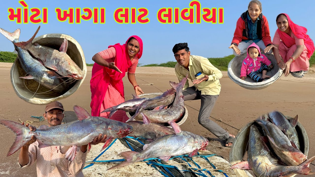 પેલી વાર દેશી ખાગા એટલા બધા આવિયા🦈