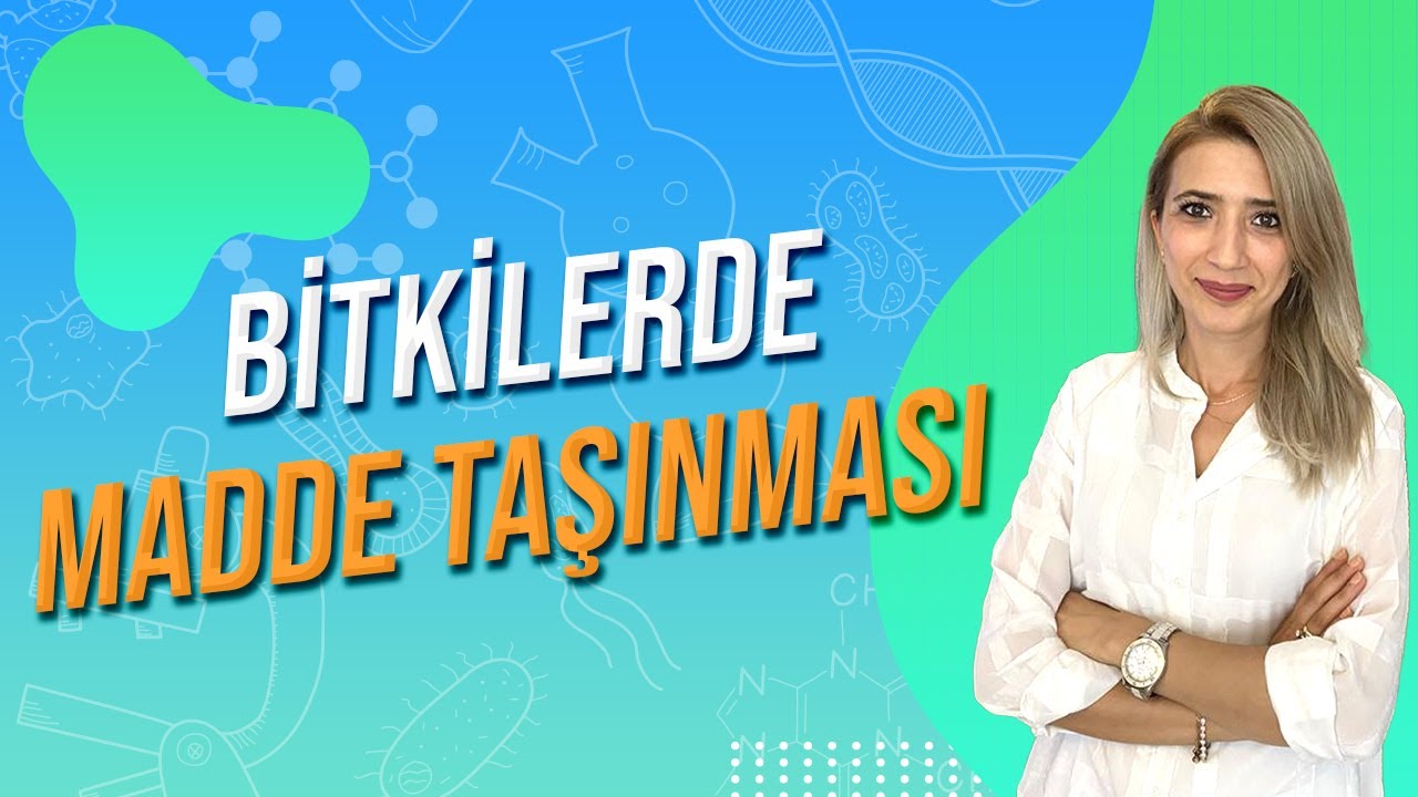 BİTKİLERDE MADDE TAŞINMASI | Seda Hoca Biyoloji 🧬#ayt2024