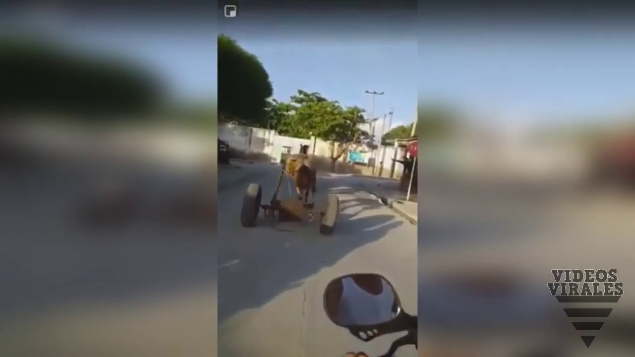 CABALLO DESBOCADO CAUSO PANICO EN CIENAGA #Magdalena #CienagaMagdalena #AccidenteCaballos