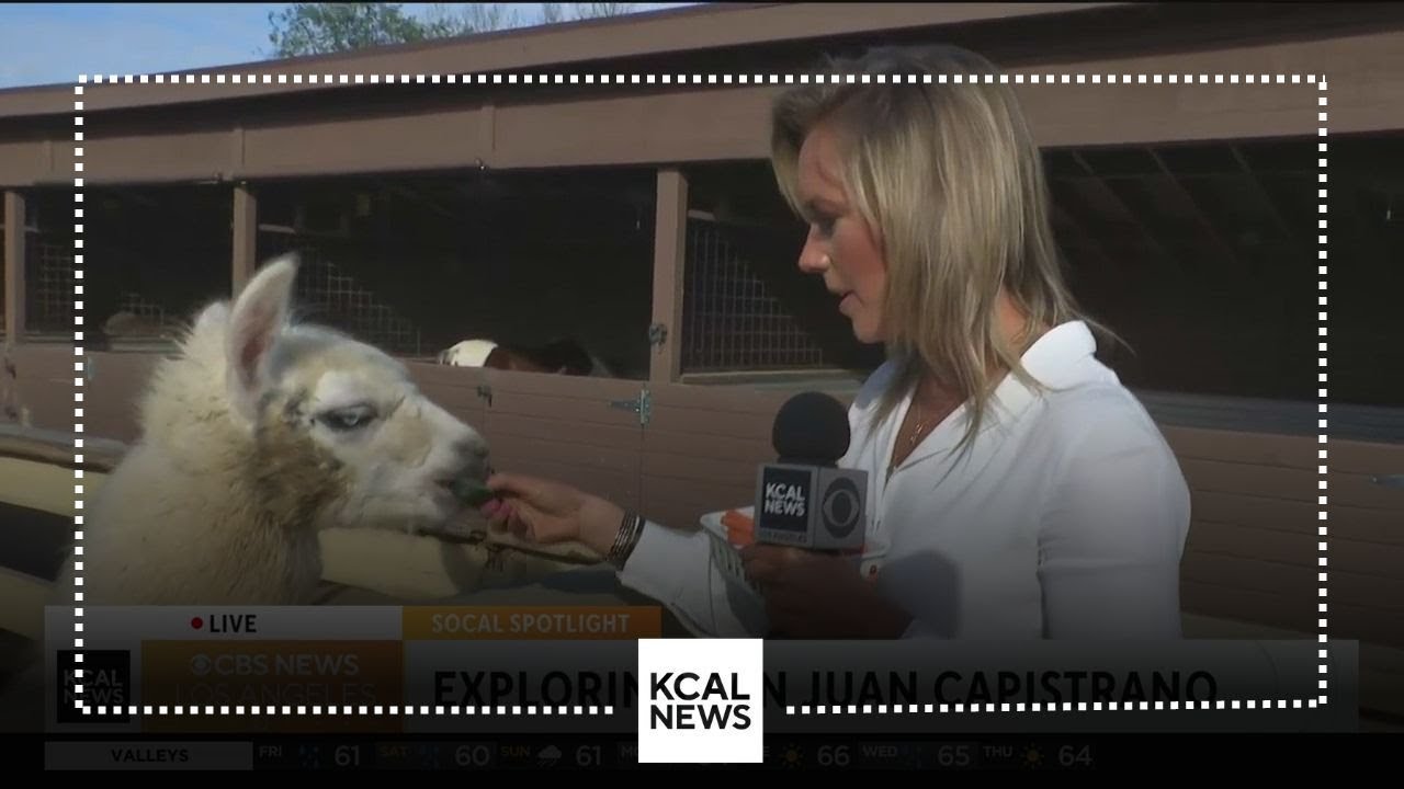A visit with all the animals at Zoomars at River Street Ranch | SoCal Spotlight