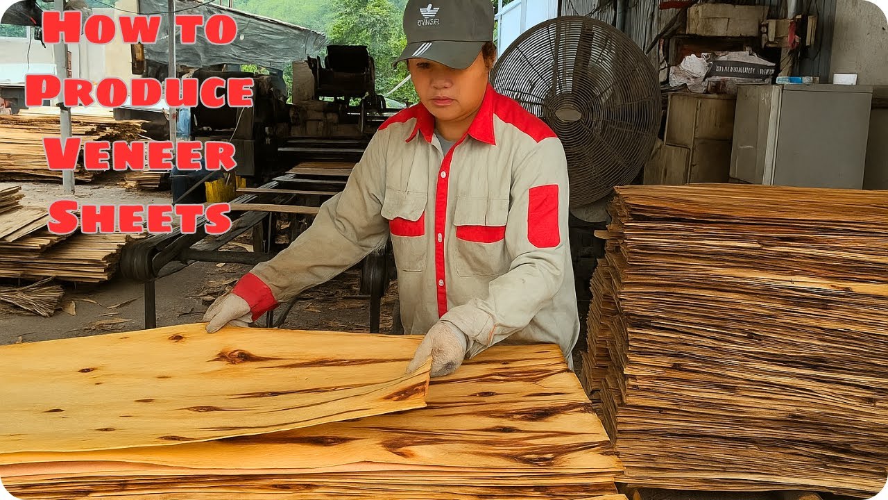How to Make Money from Veneer Production | Wood Processing