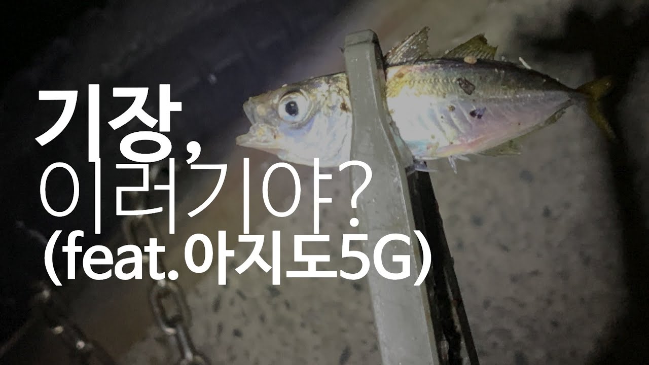 아징 / MAJORCRAFT AJIDO 5G 582L AD5-S582L