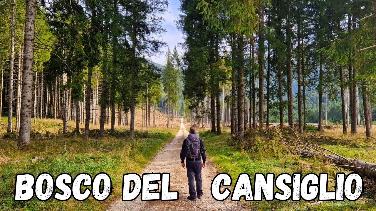 ANTICO TROI DEI CIMBRI 
