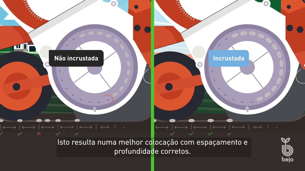 BEJO | Incrusta&ccedil;&atilde;o das sementes - para um cultivo uniforme e rendimentos m&aacute;ximos [EN-PT]