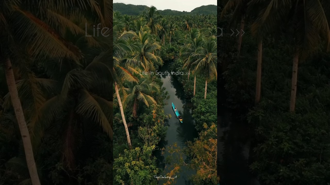 The Timeless Beauty of South India 🌸🏝️🤍 #shorts #southindia #ytshorts #nature