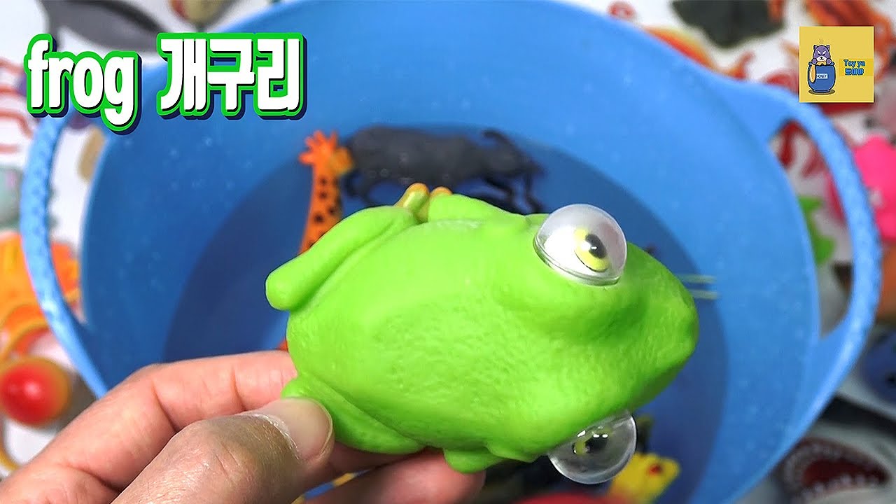 좋아하는 동물 장난감 animal toy으로 동물의 이름name을 영어english로 배워보자