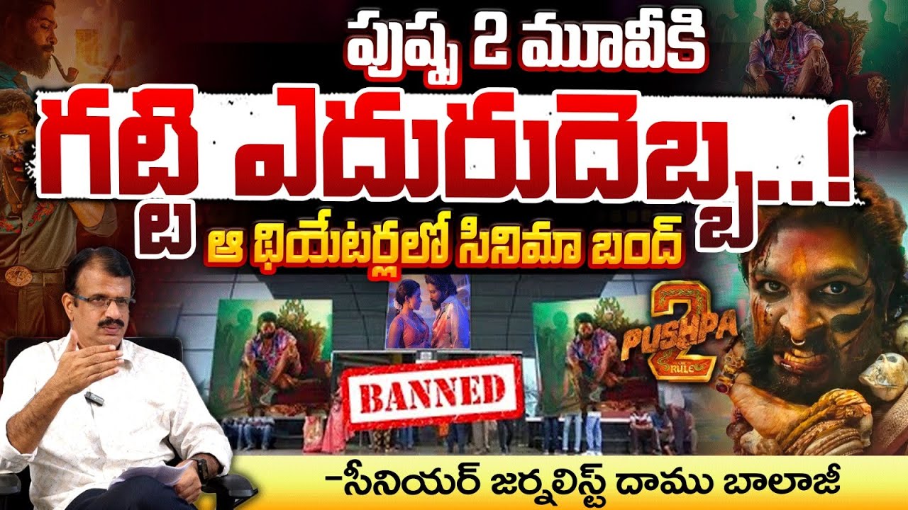 No Shows For Pushpa 2 Movie In Multiplex | Red Tv Focus