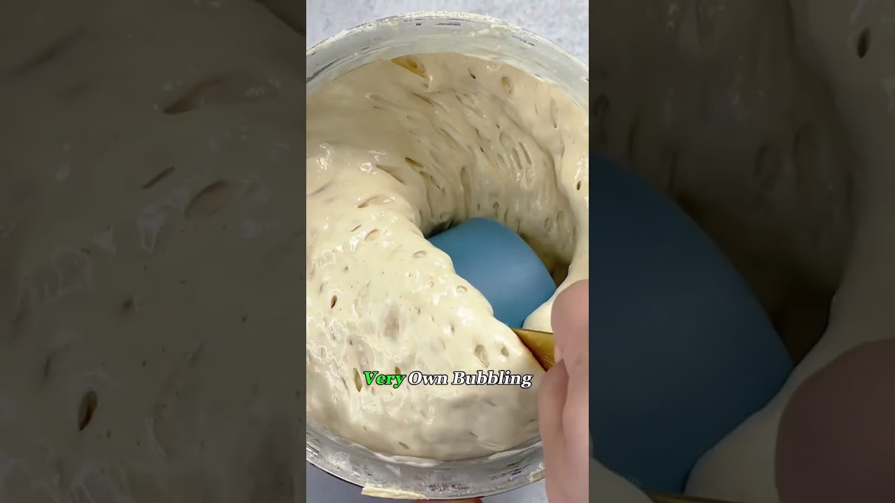 Why Are People Keeping This Wiggly Blob as a Pet?#sourdoughstarter #pet #food #bread