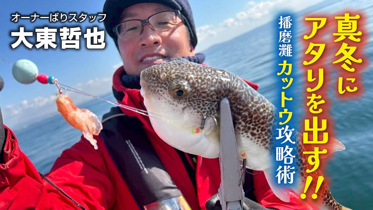 真冬にアタリを出す‼播磨灘カットウ攻略術