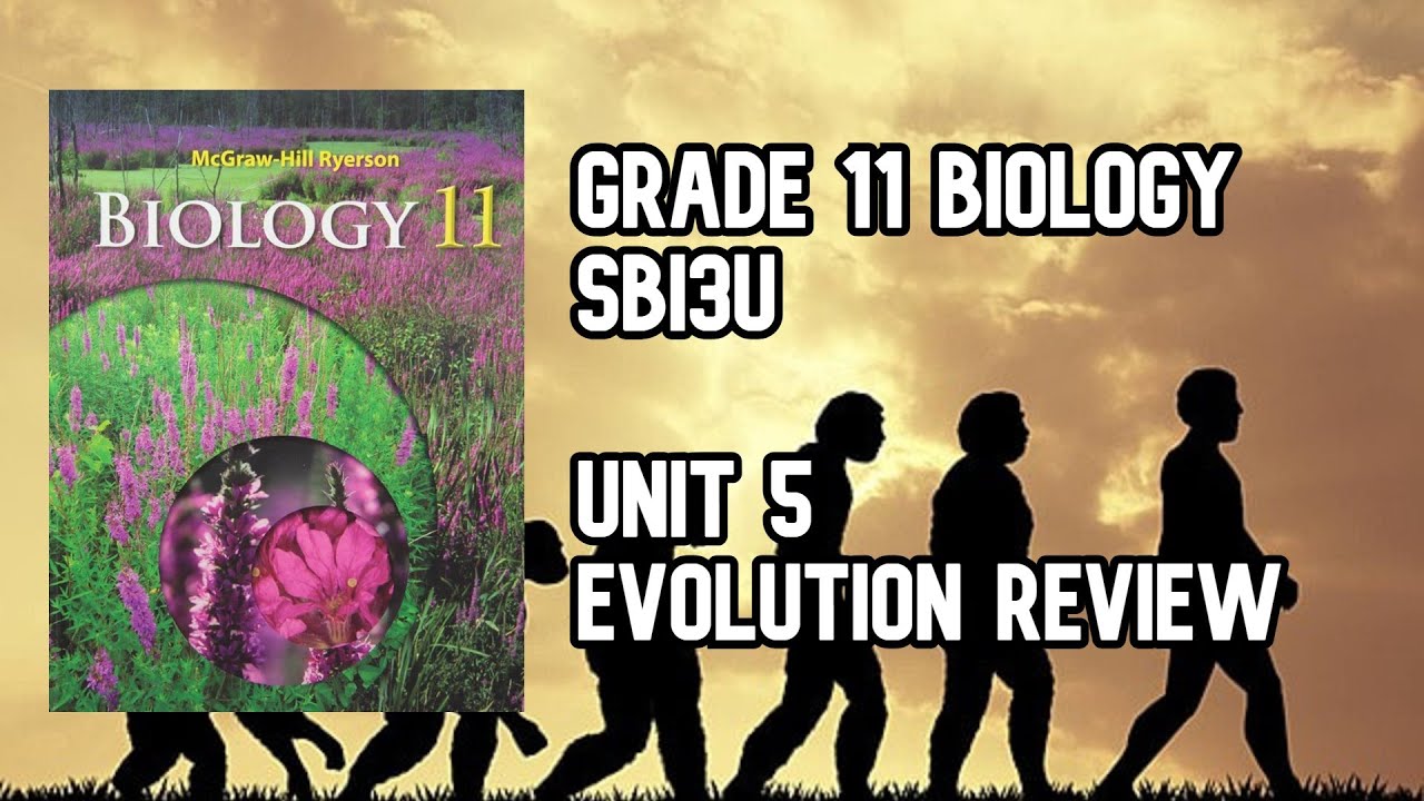 SBI3U - Unit 2 Evolution Full Review (Review Sheet) (Grade 11 Biology)