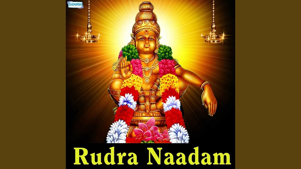 Viswanadhaashtakam