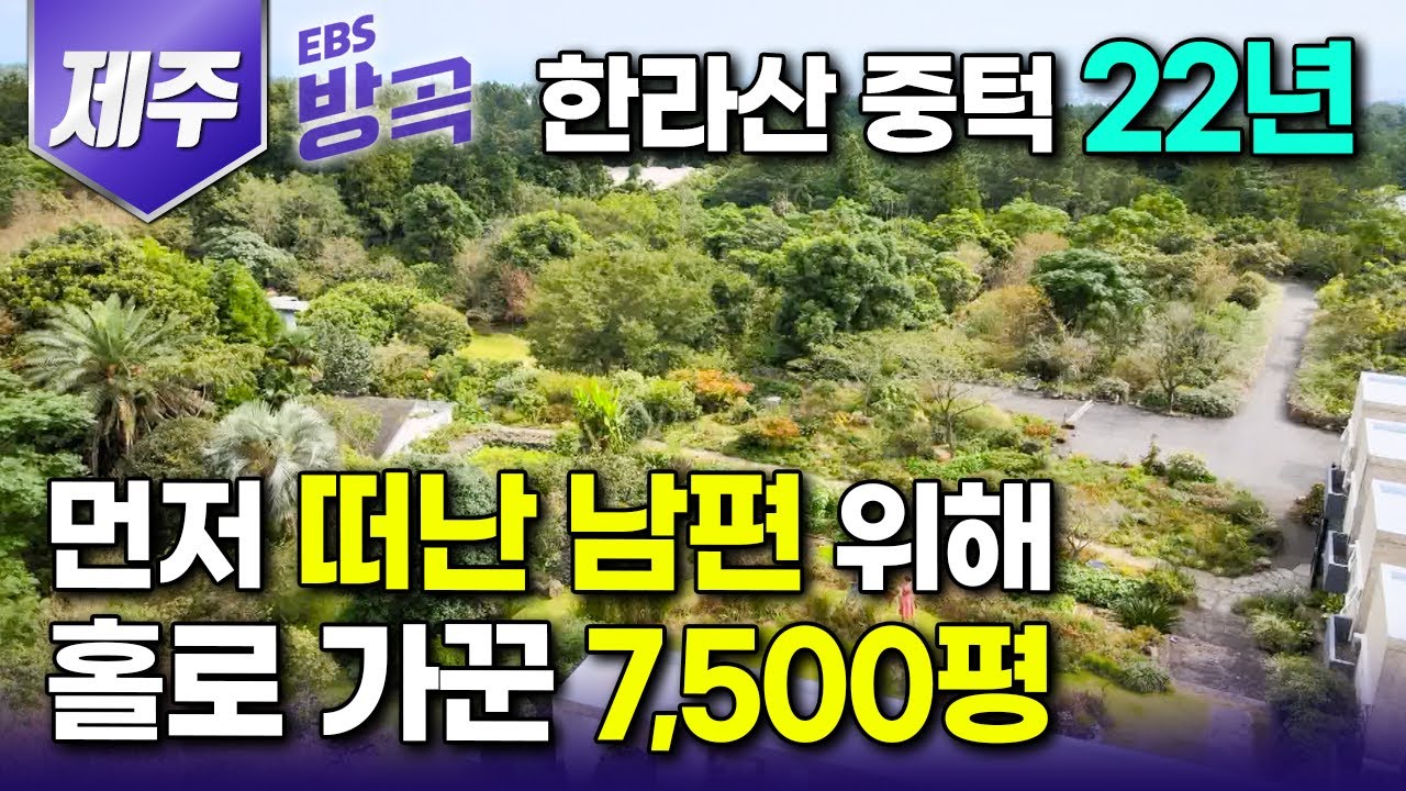 [제주특별자치도] 먼저 떠나버린 남편과의 약속 지키려 한라산 지천에 깔린 비닐하우스 철거하고 정원 가꾸길 22년, 7천 5백 평 정원 홀로 가꿔낸 여자｜#한국기행 #방방곡곡