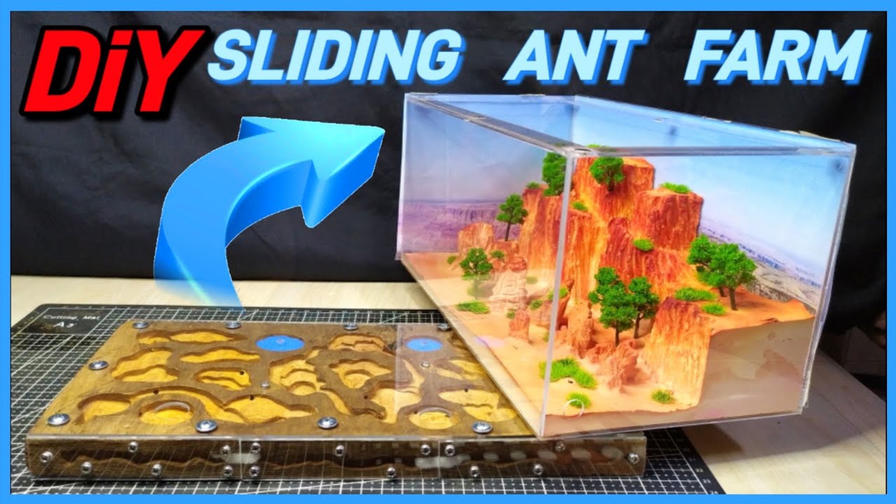 HOW TO BUILD A SLIDING WOODEN NEST | D colony