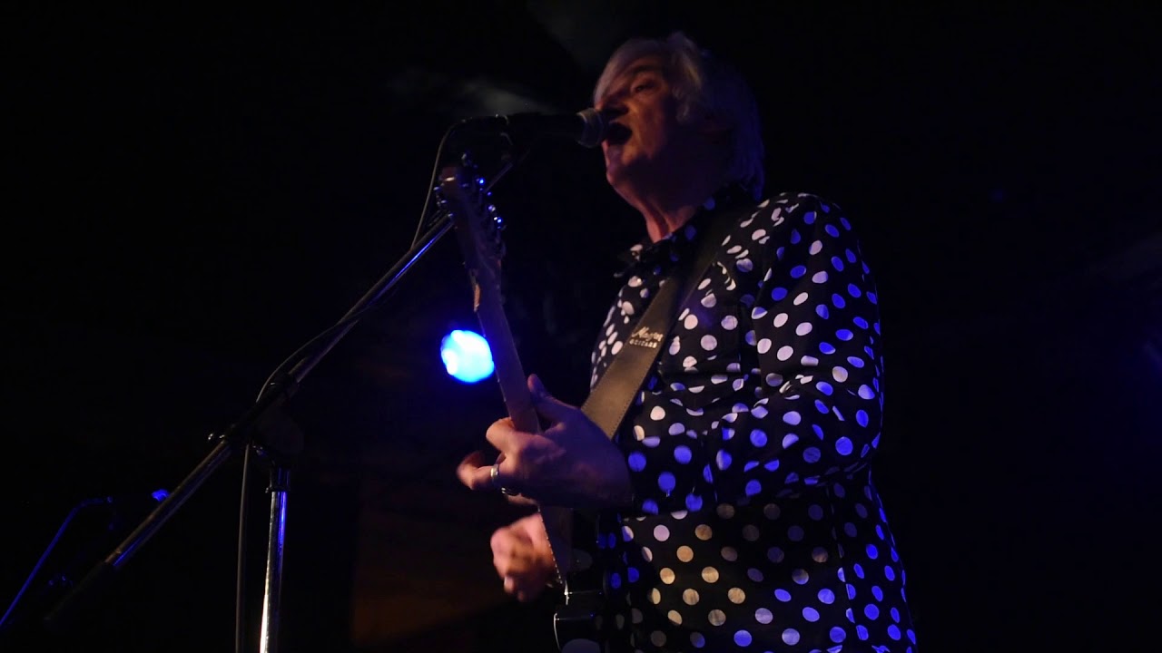 Robyn Hitchcock 