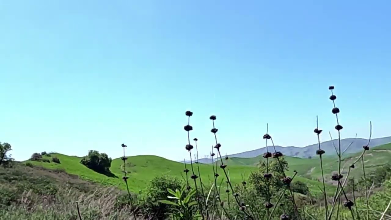Chino Hills State Park