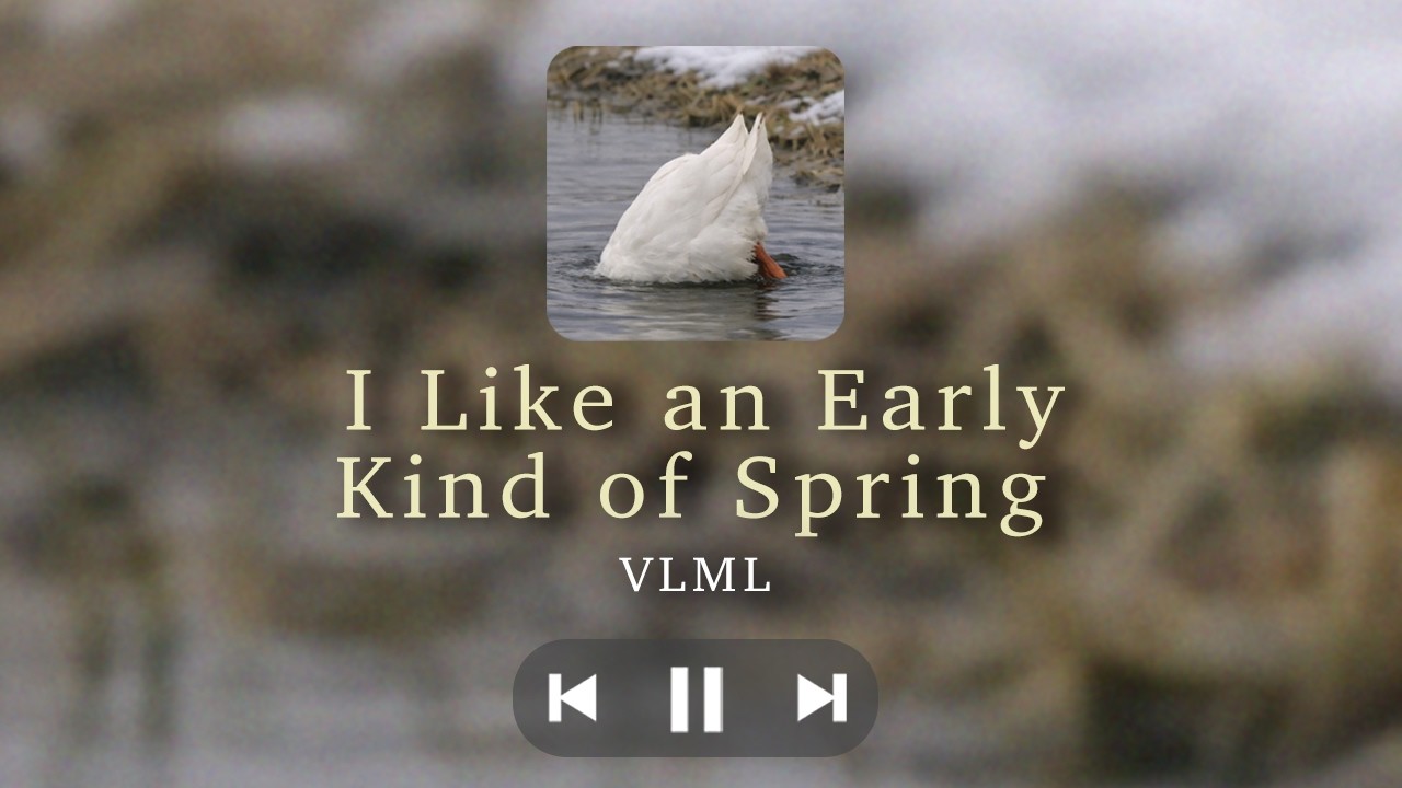 I Like an Early Kind of Spring – A Song About Loving the Beginning | VLML (Lyric Video)