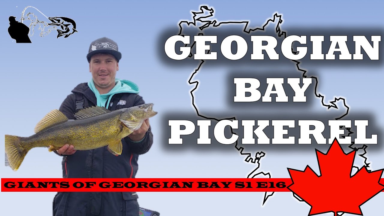 How To Fish For Monster Walleye Fishing Ontario (Pickerel) - Giants of Georgian Bay S1E16