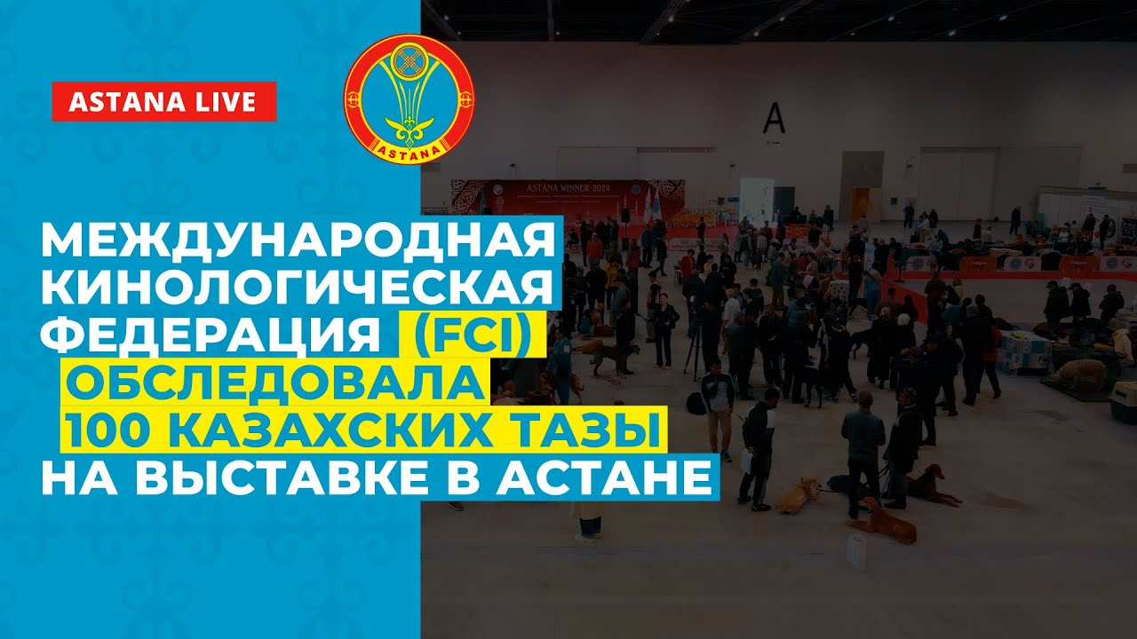 МЕЖДУНАРОДНАЯ КИНОЛОГИЧЕСКАЯ ФЕДЕРАЦИЯ (FCI) ОБСЛЕДОВАЛА ОКОЛО 100 КАЗАХСКИХ ТАЗЫ НА ВЫСТАВКЕ