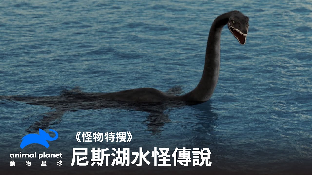 《怪物特搜》尼斯湖水怪現蹤？｜動物星球頻道