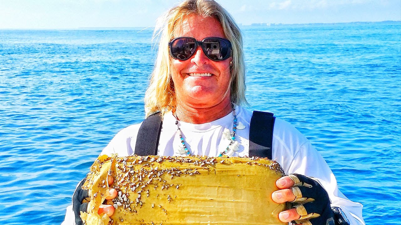 Shark Expert Reels In Kilo Of Cocaine On Chartered Trip With College Students