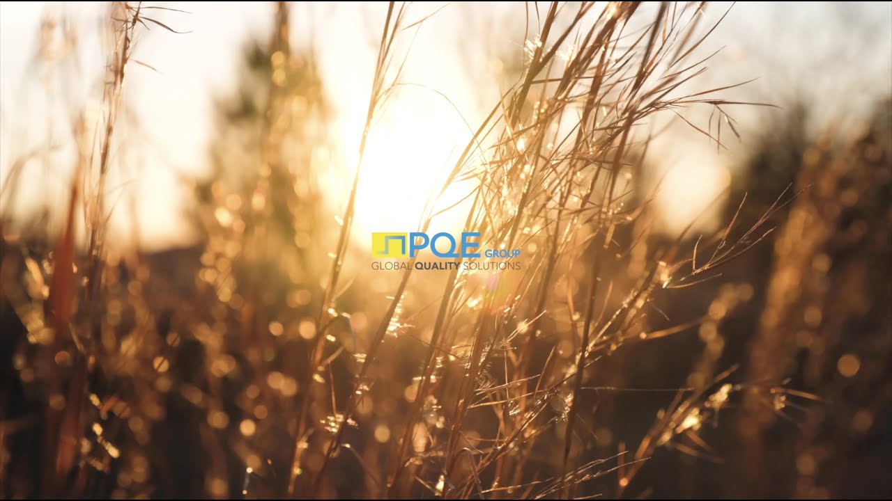 Bienvenido a PQE Group