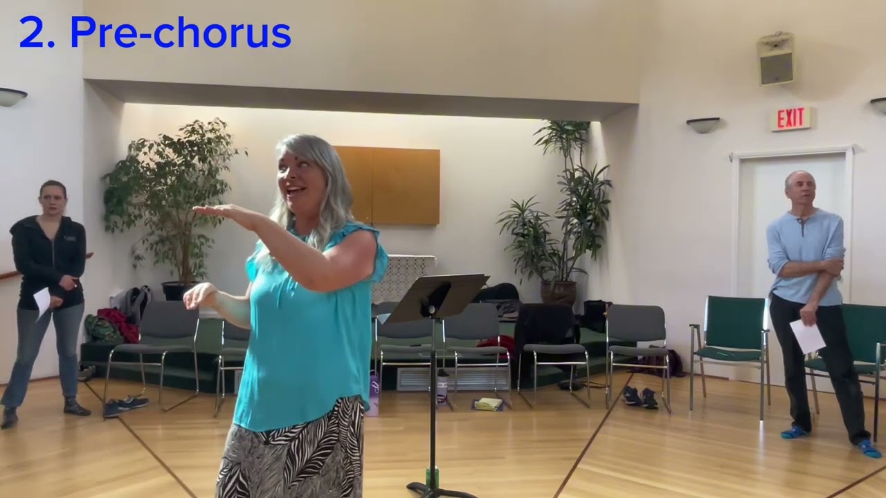 Imagine by John Lennon - Harmony Tutorial at CCLT (Community Choir Leadership Training)