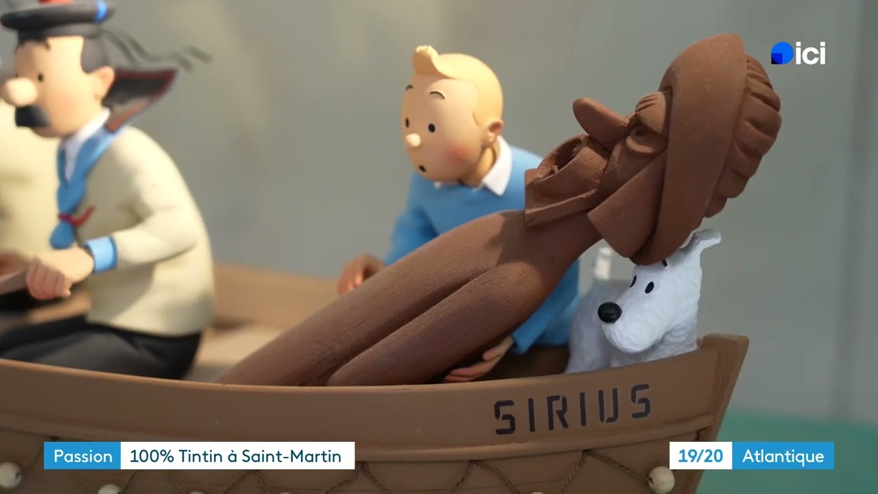 Des pièces rares recherchées par les fans, cette librairie unique en France est dédiée à Tintin