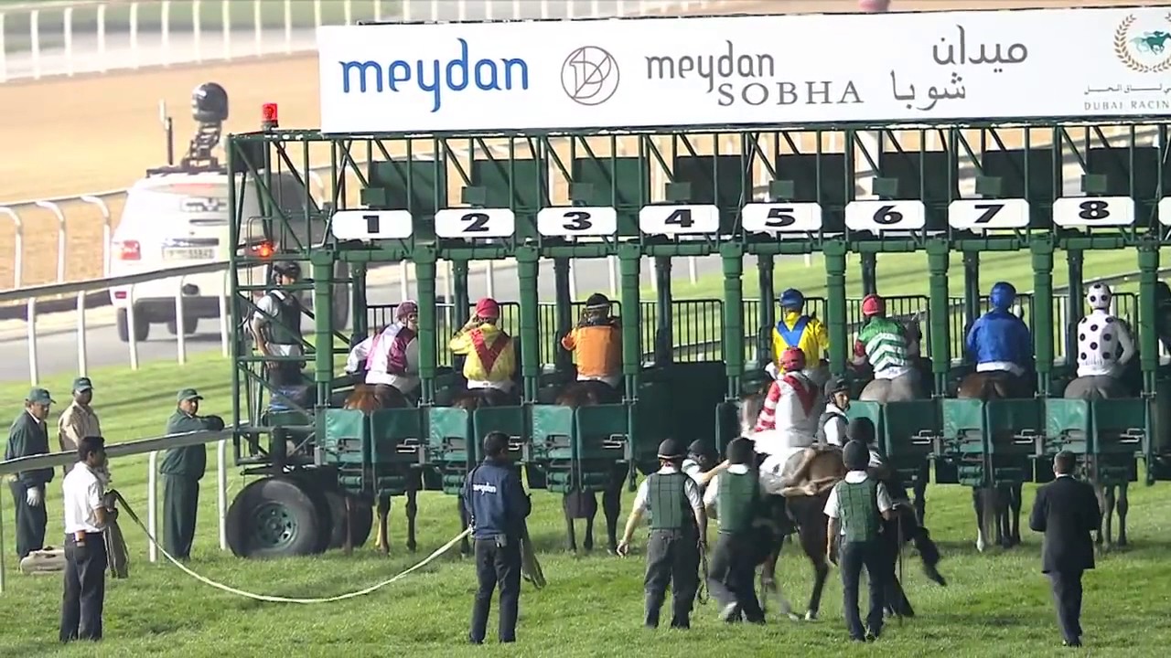 Race 5 - Mohammed Bin Rashid Al Maktoum City District One