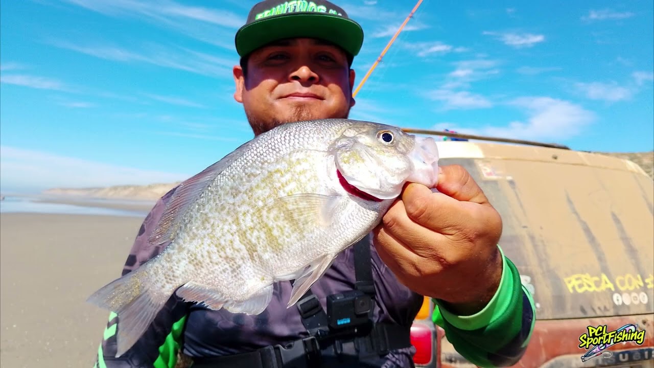 Pescando Mojarras con 1 solo jig