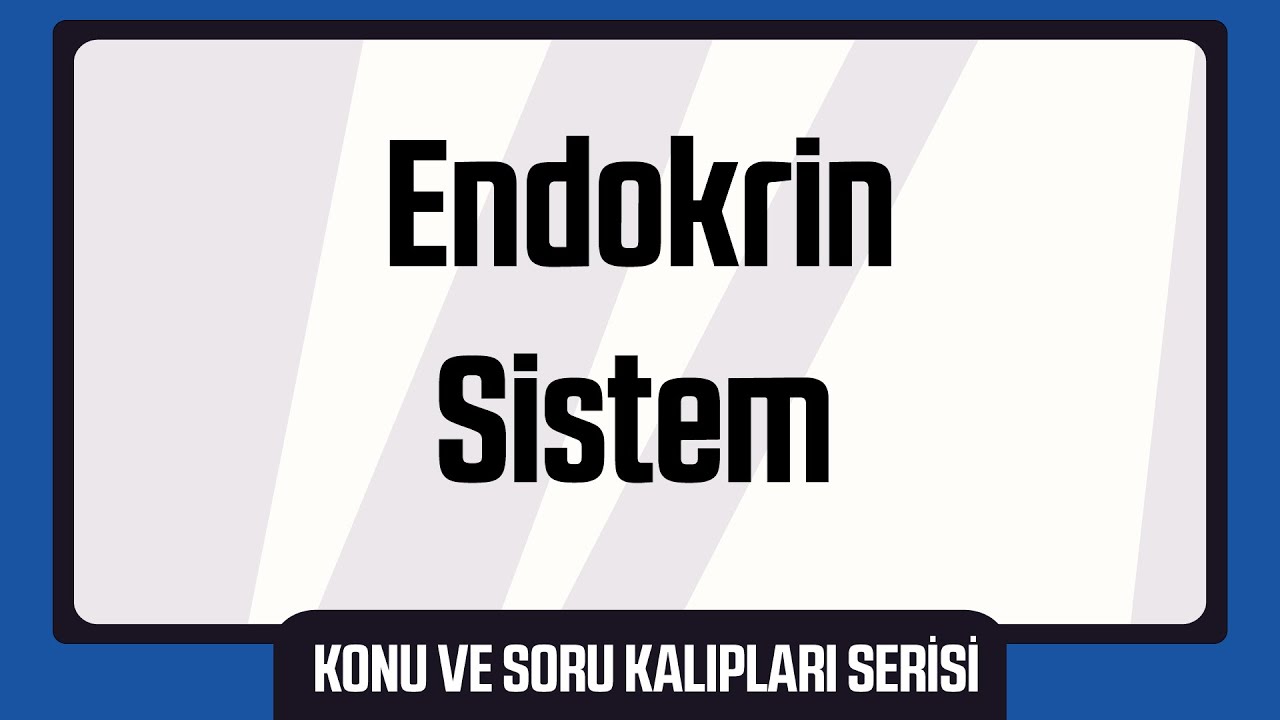 Endokrin Sistem (AYT Biyoloji Konu Kalıpları Serisi)