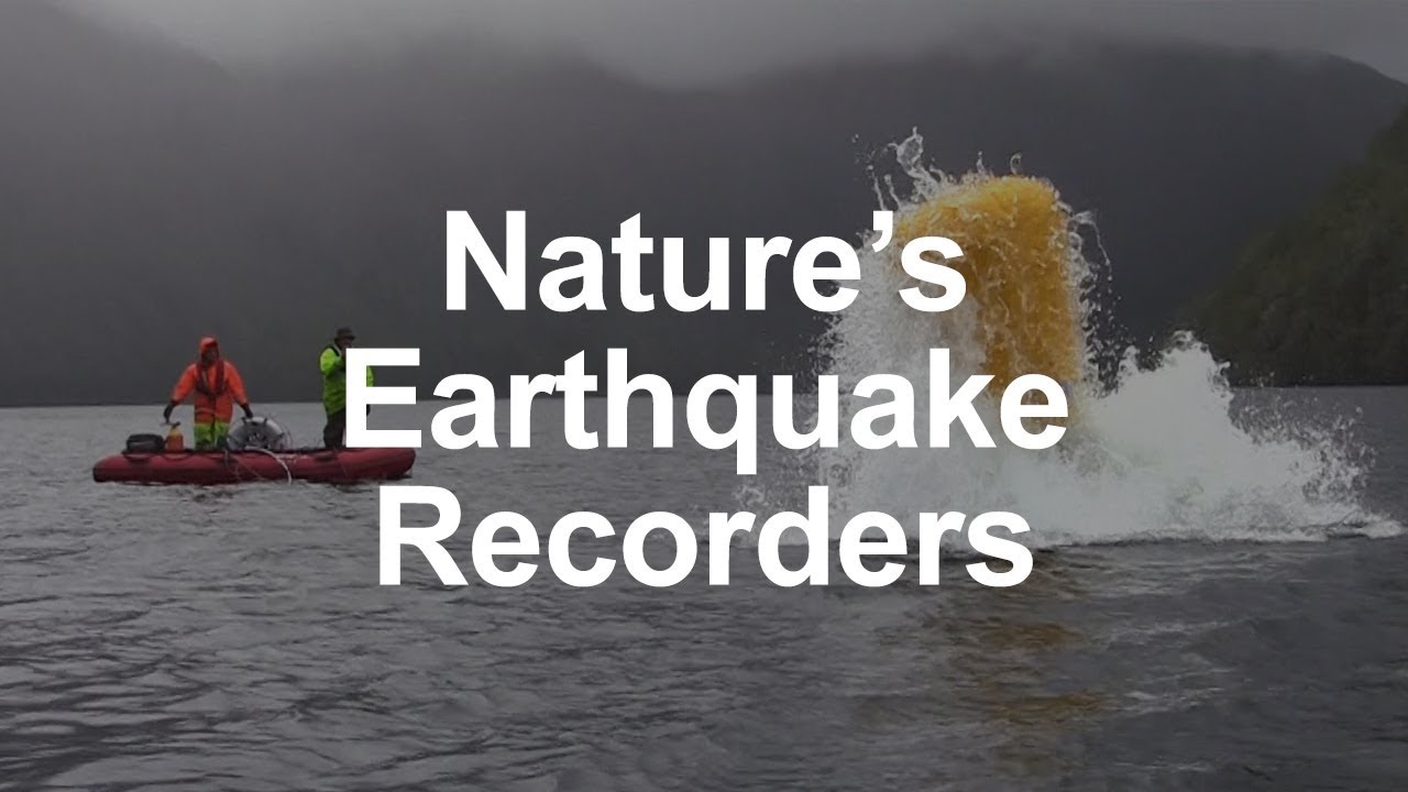 Nature's Earthquake Recorders