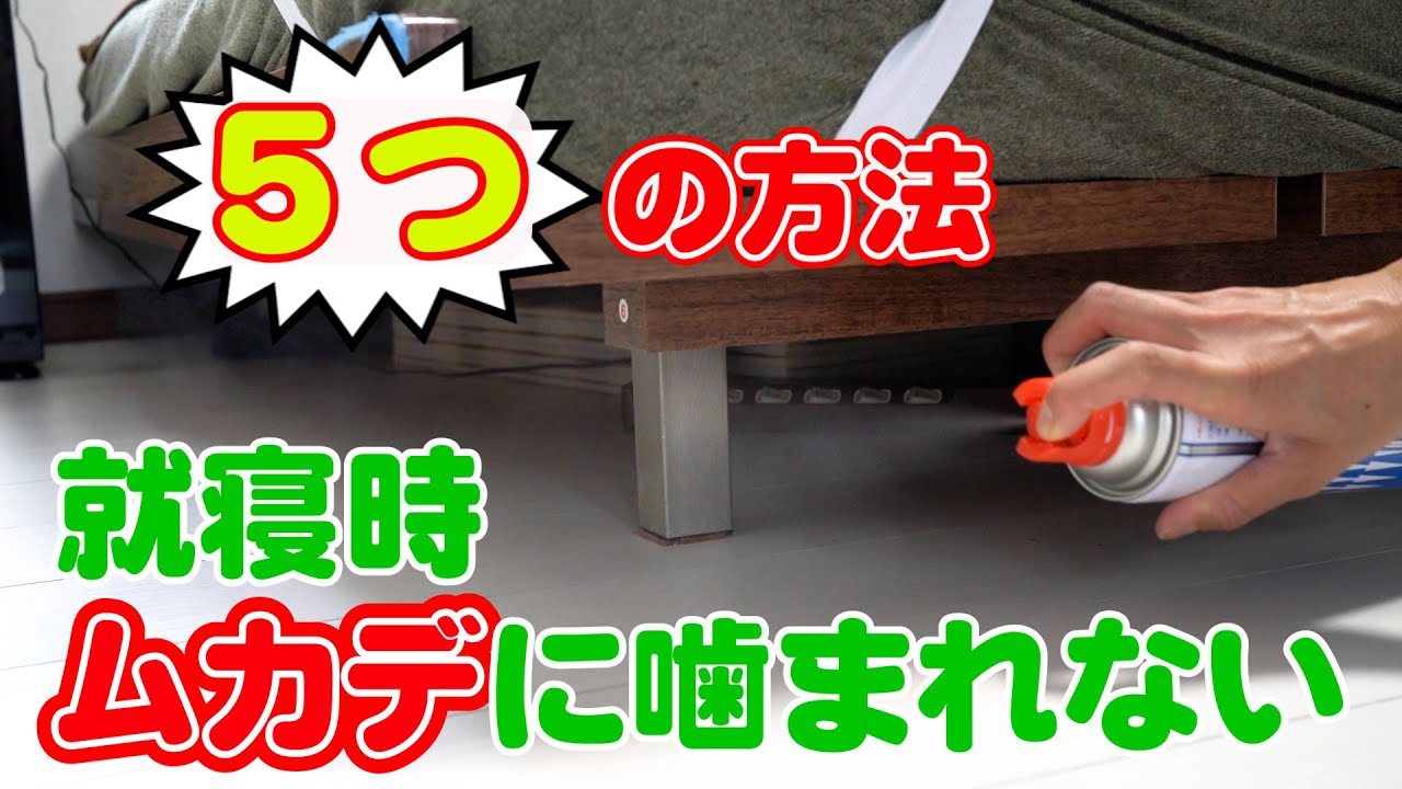 寝ているときにムカデに噛まれない方法 【簡単ムカデ対策】【害虫駆除】就寝時のムカデ対策を５つ紹介します！Centipede extermination