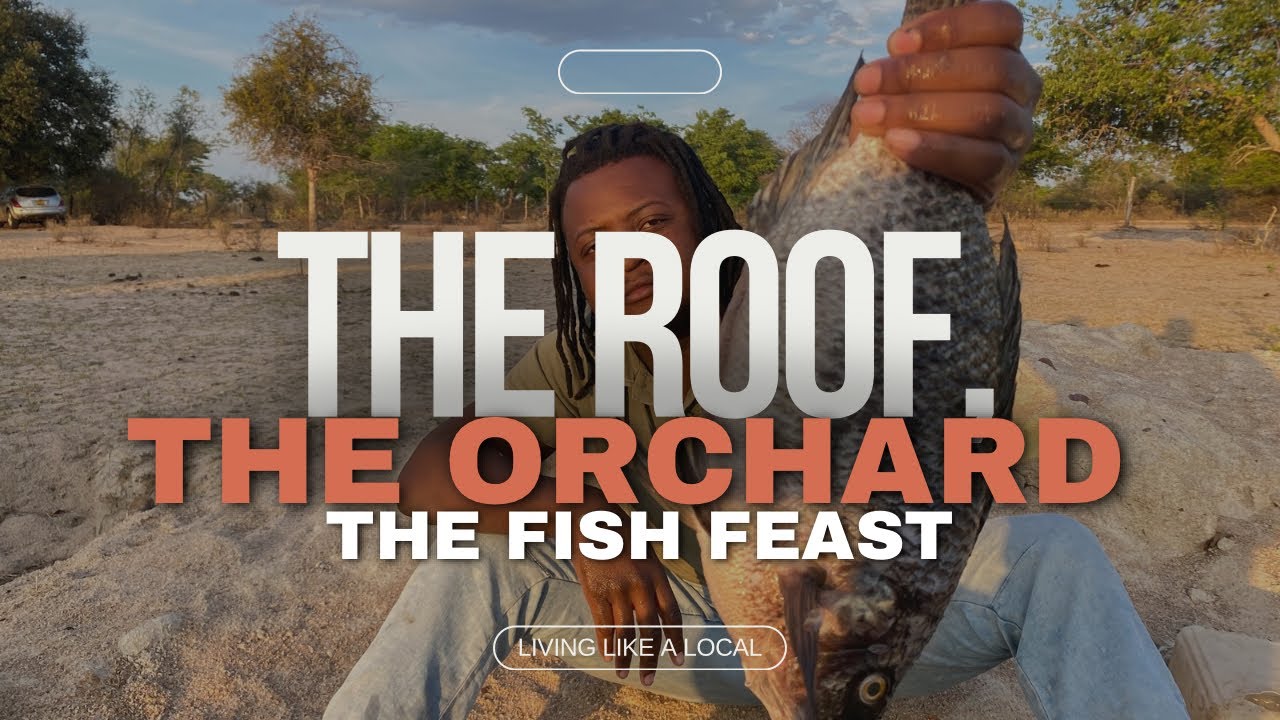 #27 The Roof, the Orchard, and the Fishy Feast | Building in Zimbabwe| Village life 🇿🇼