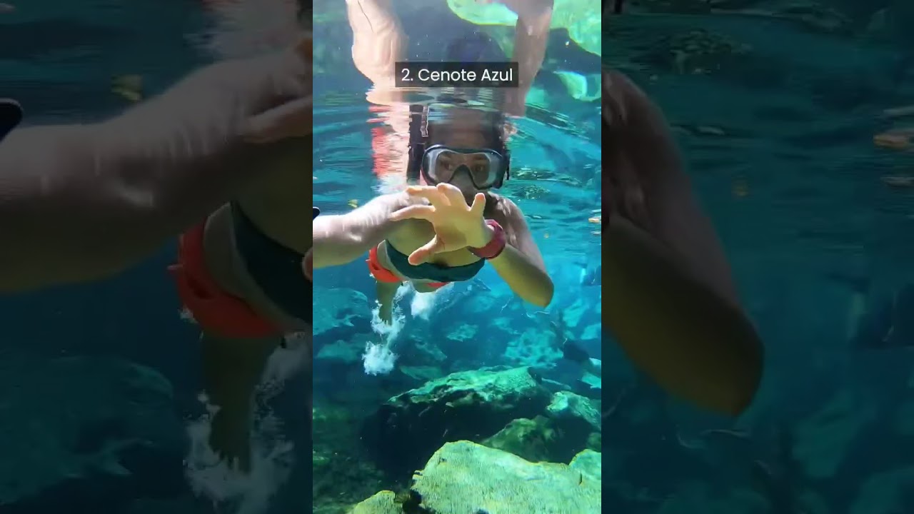 4 Cenotes You Must Visit Near Playa del Carmen