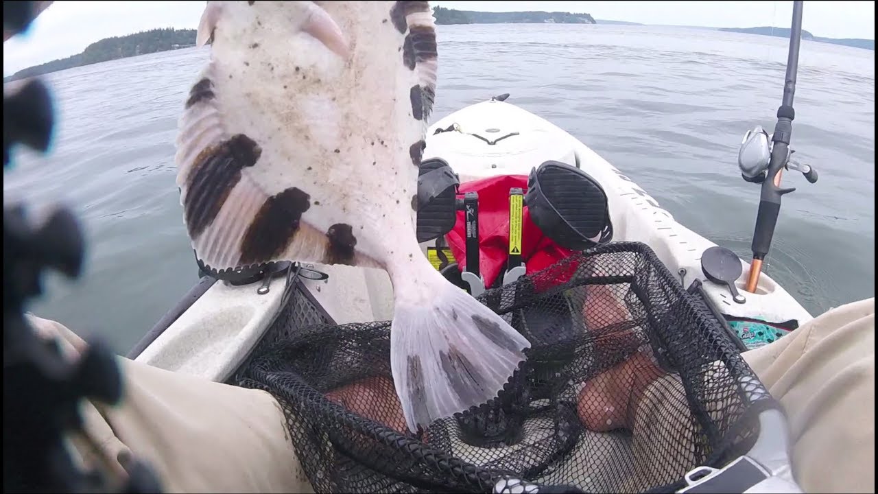 Hobie Kayak fishing for Giant Star Flounders (flukes)  www.FishingWa.Us
