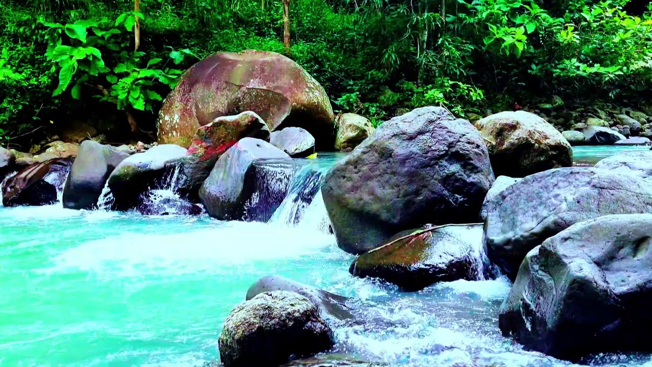 Calming River & Chirping Birds ASMR: Natural Therapy for Rest Meditation & Focus