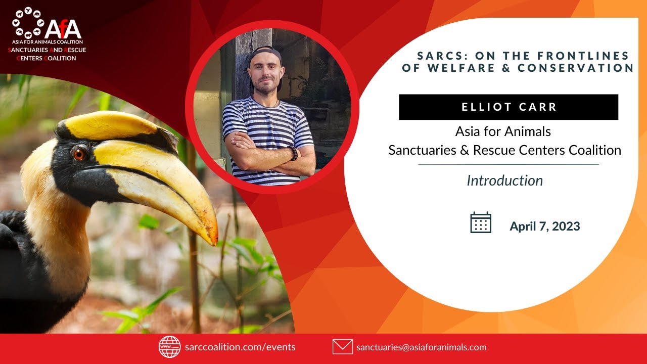 Introduction to Sanctuaries and Rescue Centers: On the frontlines of conservation & welfare | SARCC