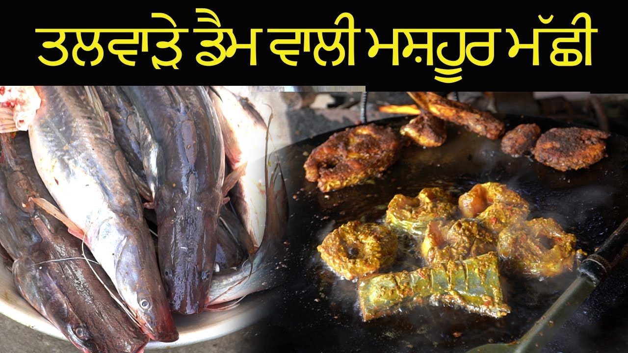 ਤਲਵਾੜੇ ਡੈਮ ਵਾਲੀ ਮਸ਼ਹੂਰ ਮੱਛੀ (ਖਡਿਆਲ)  khatiyar Talwara Dam Fish VLOG
