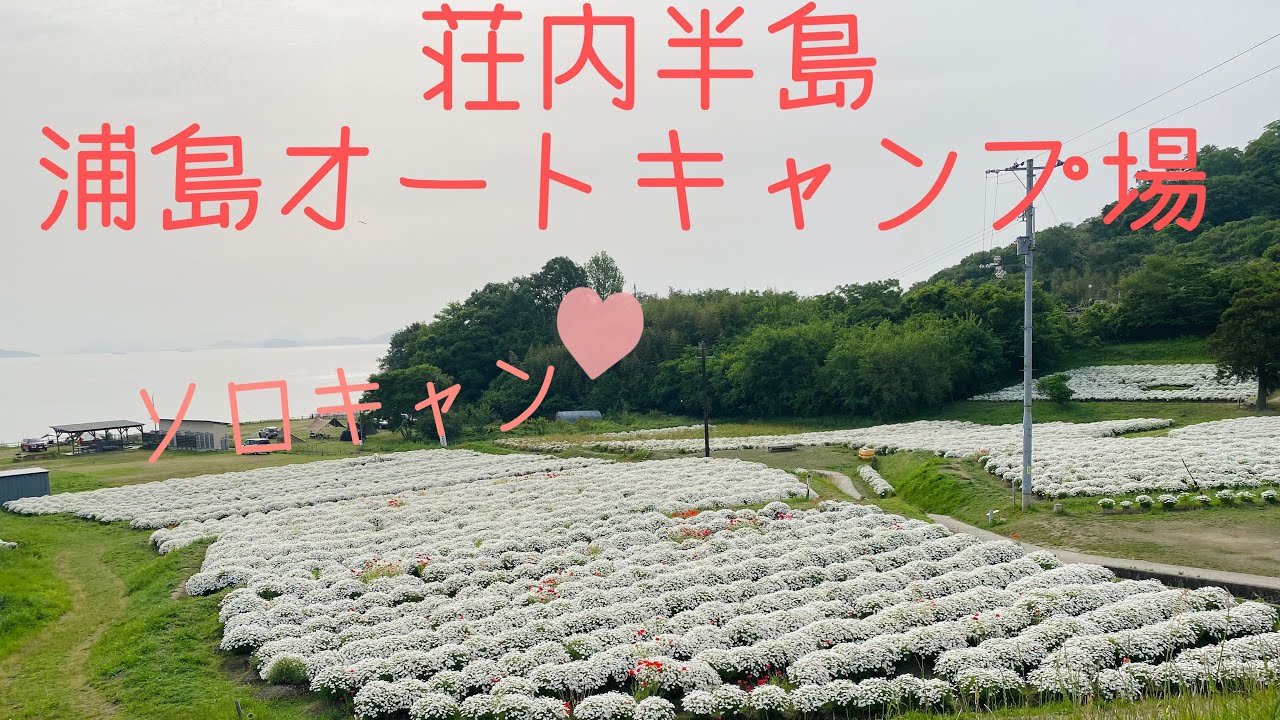 5／１８   荘内半島浦島オートキャンプ場   フラワーパーク浦島