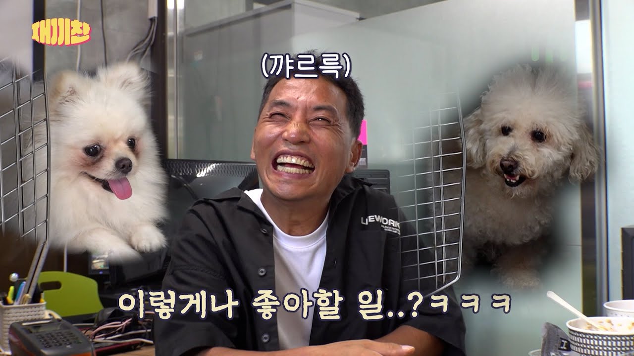 Vlog)훈련사 찬종의 가장 중요한 하루 일과 (feat.재웅 놀리기)🤪