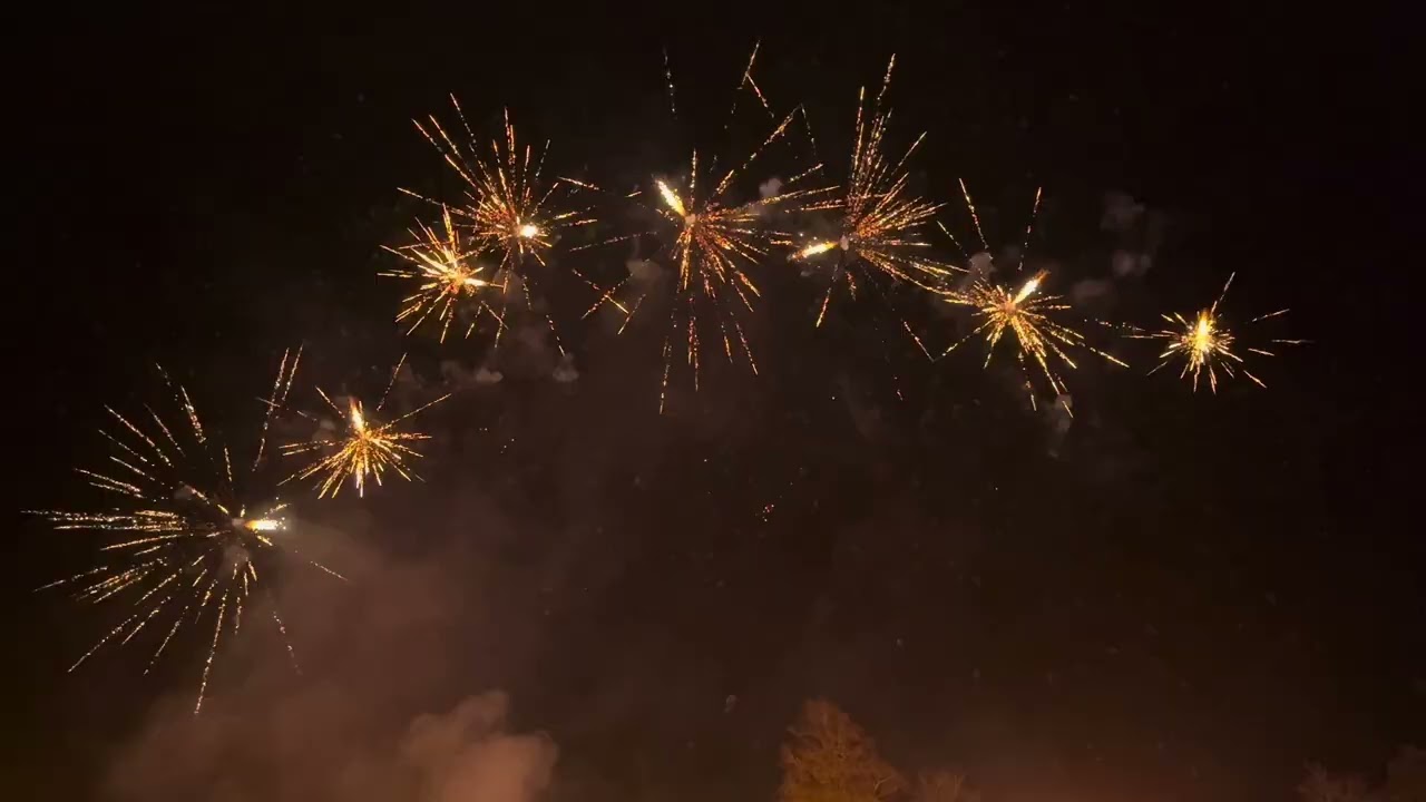Woking Bonfire Night Fireworks 2024